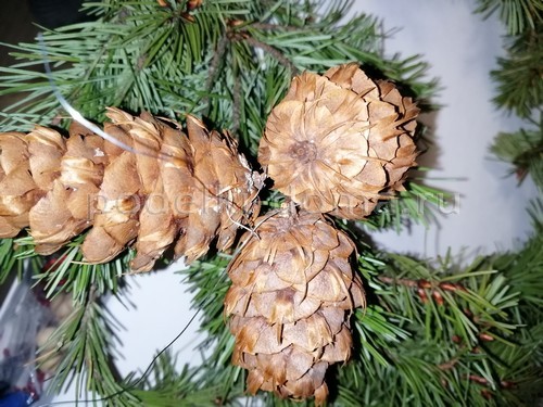 Венок из еловых веток