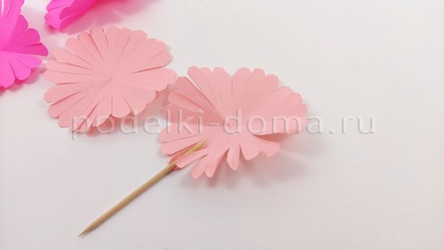 Цветы астры из бумаги Цветы астры из бумаги