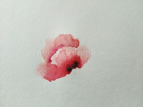 Скетч акварелью «Маки» Скетч акварелью «Маки»