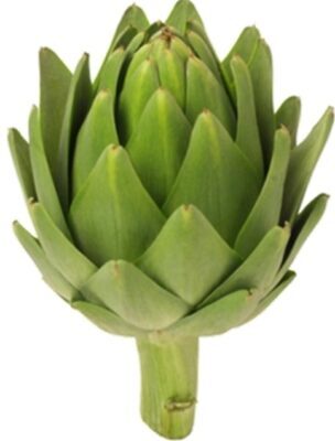 Аппликация в технике «Артишок» Аппликация в технике «Артишок»