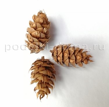 Венок из еловых веток