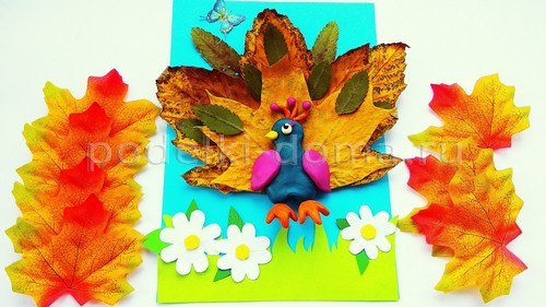 «Павлин» — аппликация из природного материала