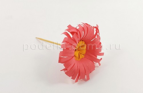 Цветы астры из бумаги Цветы астры из бумаги