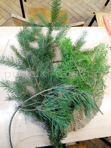 Венок из еловых веток