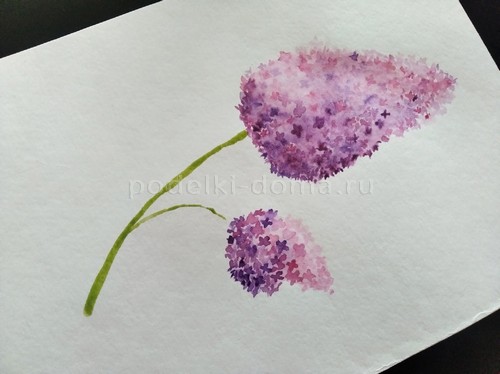 Скетч «Сирень» акварелью