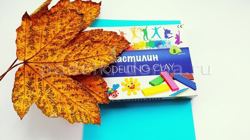 «Павлин» — аппликация из природного материала