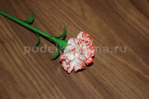 Цветы астры из бумаги Цветы астры из бумаги