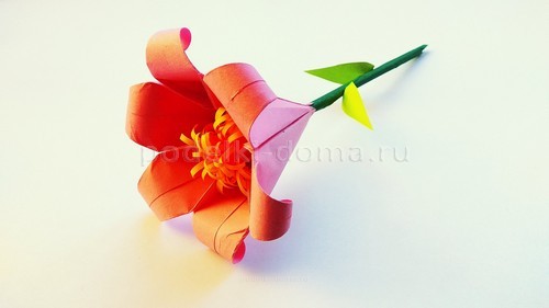 Цветы астры из бумаги Цветы астры из бумаги