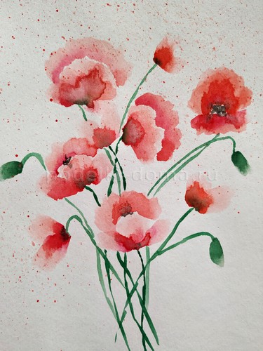 Скетч акварелью «Маки» Скетч акварелью «Маки»