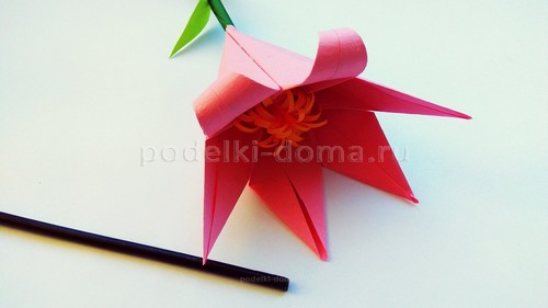 Бумажные цветы — 3 варианта Бумажные цветы — 3 варианта