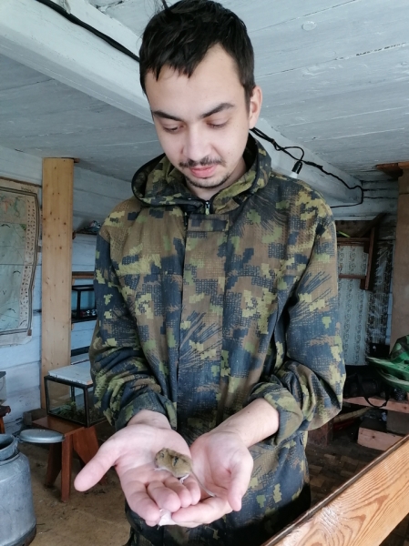 Ученые благодаря мышам узнали, у каких мам рождаются дружелюбные дети