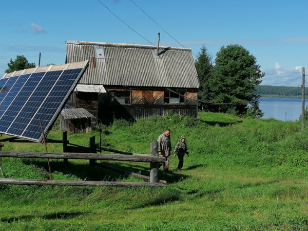 Ученые благодаря мышам узнали, у каких мам рождаются дружелюбные дети