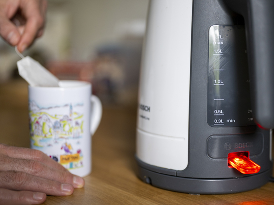 Генетики рассказали о неприятном содержимом чайных пакетиков