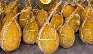 Арбуз на новогоднем столе: как сохранить дыни и арбузы до Нового года Арбуз на новогоднем столе: как сохранить дыни и арбузы до Нового года