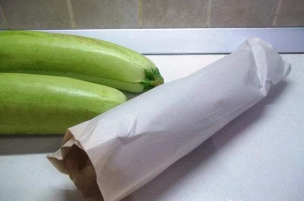 Запасаемся на зиму ценным продуктом: как сохранить кабачки до весны Запасаемся на зиму ценным продуктом: как сохранить кабачки до весны