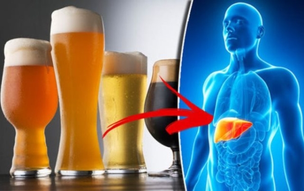 Коньяк, водка или вино: какие спиртные напитки меньше вредят организму