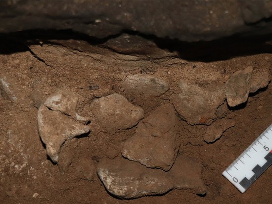 Московские студенты нашли яму с частоколом из костей и зубов