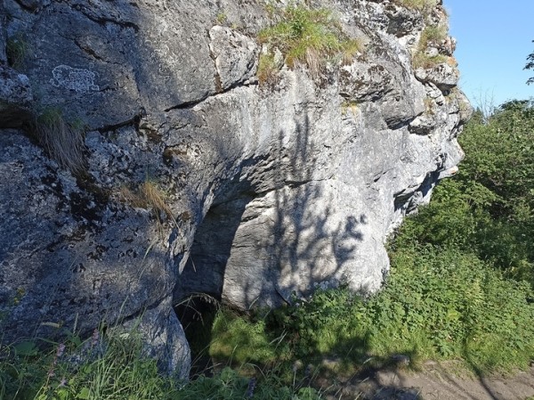 Московские студенты нашли яму с частоколом из костей и зубов