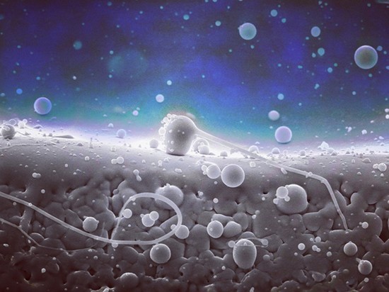 Российские ученые открыли как улучшить жизнеспособностью клеток мозга: поможет селен