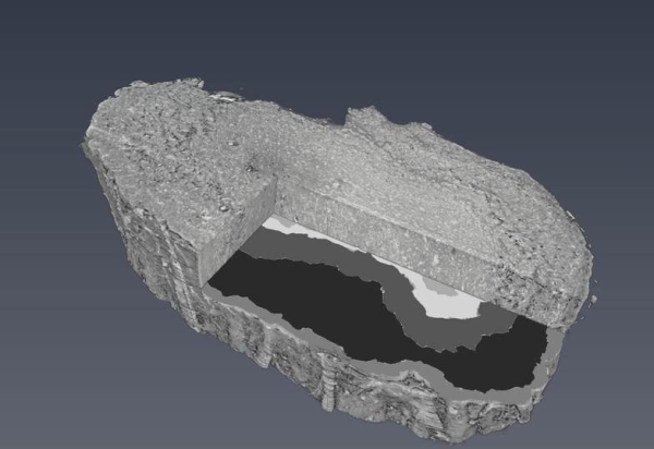 Российские ученые впервые создали 3D модель обонятельной луковицы мозга человека