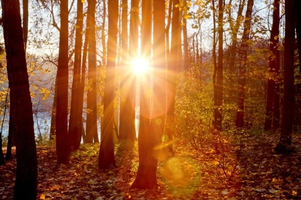 Сколько продлится мощная магнитная буря, которая началась 30 сентября 2022 года Сколько продлится мощная магнитная буря, которая началась 30 сентября 2022 года