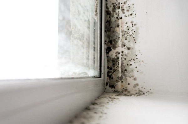 Какие народные средства и современные способы можно использовать, чтобы окна не плакали зимой