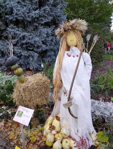 Поделки из тыквы