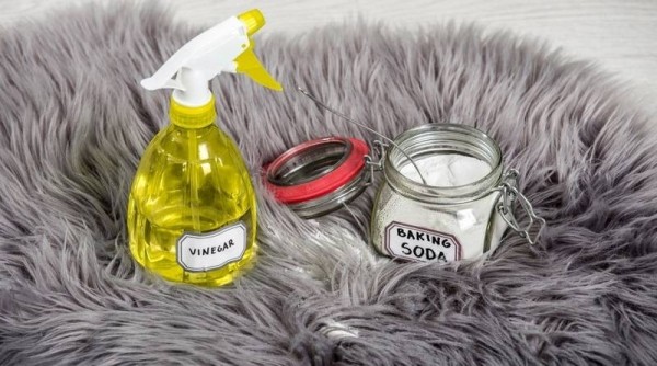 Доступные способы, которые позволят в домашних условиях почистить мех на куртке Доступные способы, которые позволят в домашних условиях почистить мех на куртке