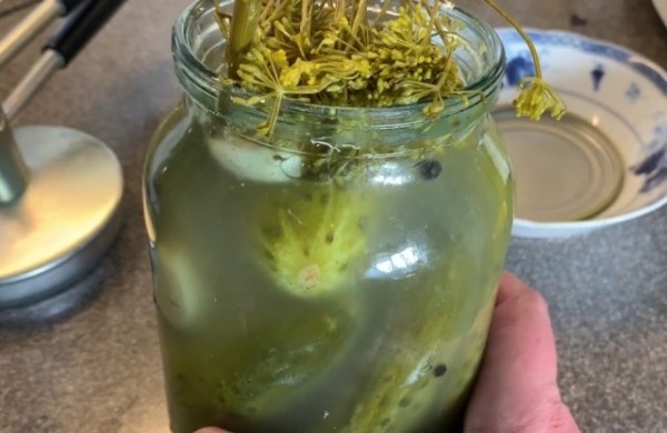 Как сохранить консервированные огурцы, если они помутнели, можно ли их есть Как сохранить консервированные огурцы, если они помутнели, можно ли их есть