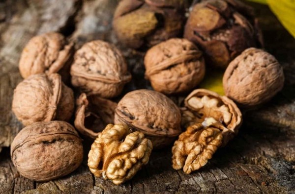 Правила заготовки грецких орехов: как их быстро высушить и зачем предварительно мыть