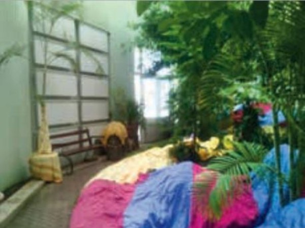 Математикам прилетел «Град», ботаники кутали пальмы шторами: как выживают донецкие ученые