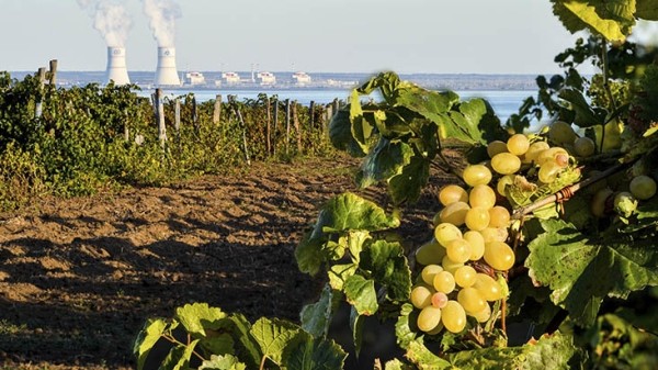 Чистая энергия будущего: как спасти планету от экологической катастрофы