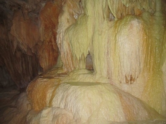 В Баксанской нейтринной обсерватории нашли существо: может быть подобно инопланетным