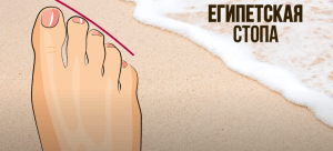 Советы стилиста, как правильно подбирать обувь по полноте и ширине стопы