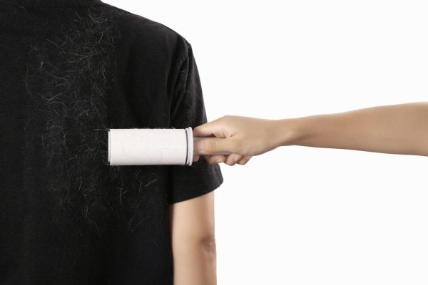 Лайфхаки, которые помогут убрать шерсть домашних питомцев с одежды Лайфхаки, которые помогут убрать шерсть домашних питомцев с одежды