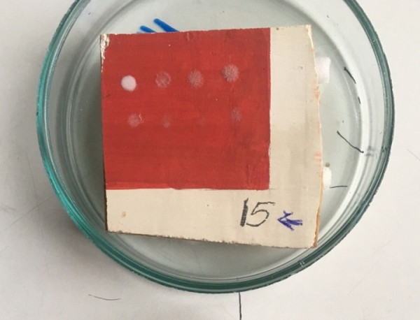 Микромир Третьяковки: на иконах нашли организмы, подходящие для создания лекарств