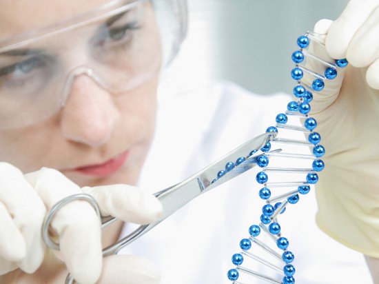 Российский ученый обнаружил в ДНК дополнительный «тайник» с генетической памятью