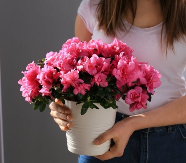 Какие вещи есть в доме счастливых людей