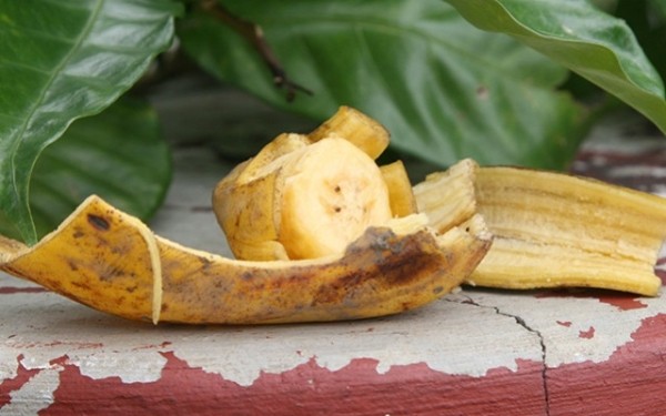 Универсальный продукт: неожиданные лайфхаки с бананами, о которых не все знают Универсальный продукт: неожиданные лайфхаки с бананами, о которых не все знают