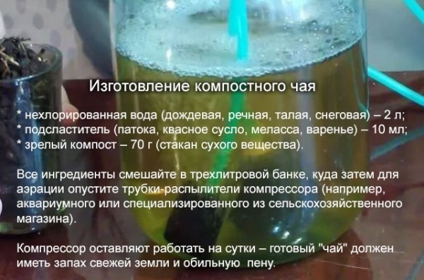 Как увеличить всхожесть семян, используя проверенные способы Как увеличить всхожесть семян, используя проверенные способы