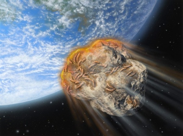 Каким образом теория панспермии доказывает, что люди являются коренными жителями космоса