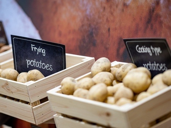 Ученые признали картофель диетическим продуктом, который помогает похудеть