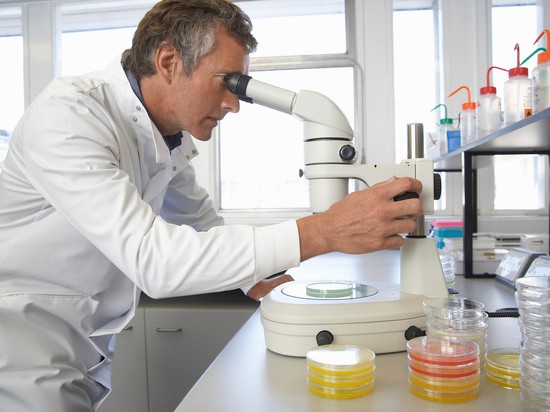 Ученые оживили древний вирус-зомби из вечной мерзлоты