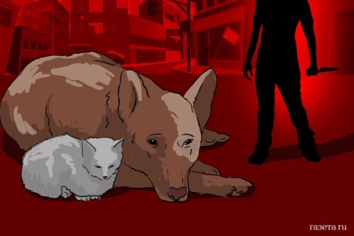 Кто стоит за созданием живодерских каналов в Telegram Кто стоит за созданием живодерских каналов в Telegram